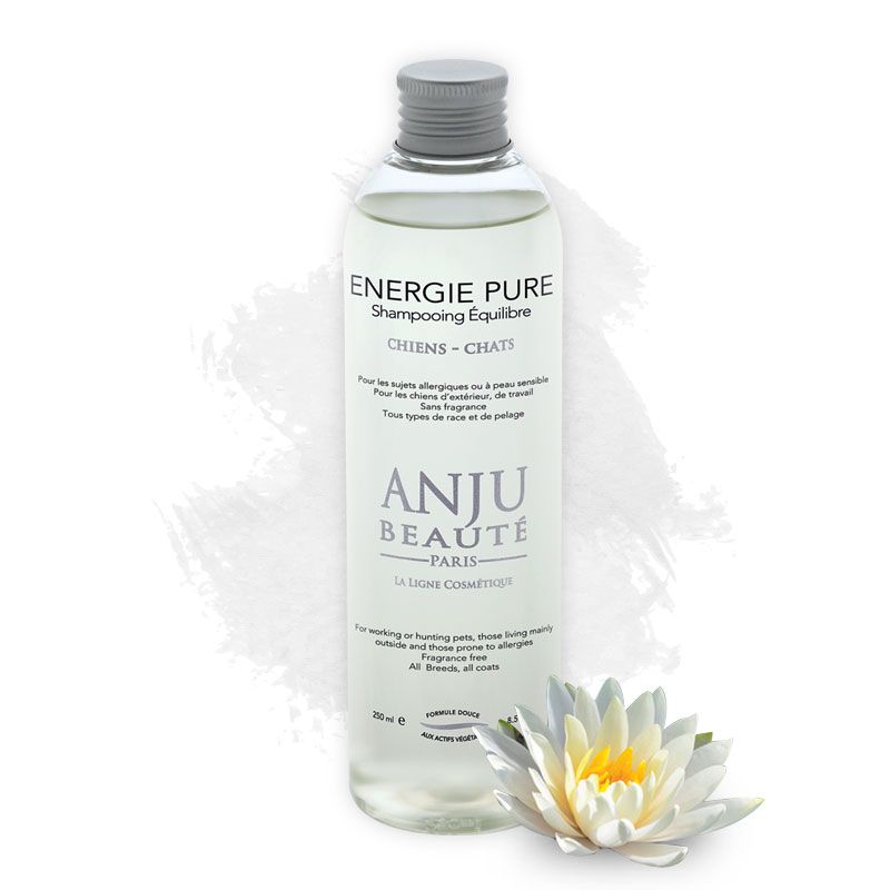 Shampooing Energie Pure
