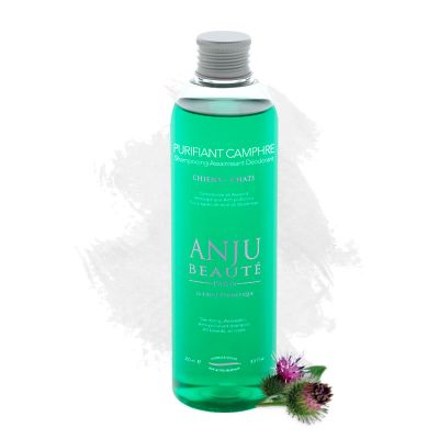 Shampoo Purifiant Camphre 0