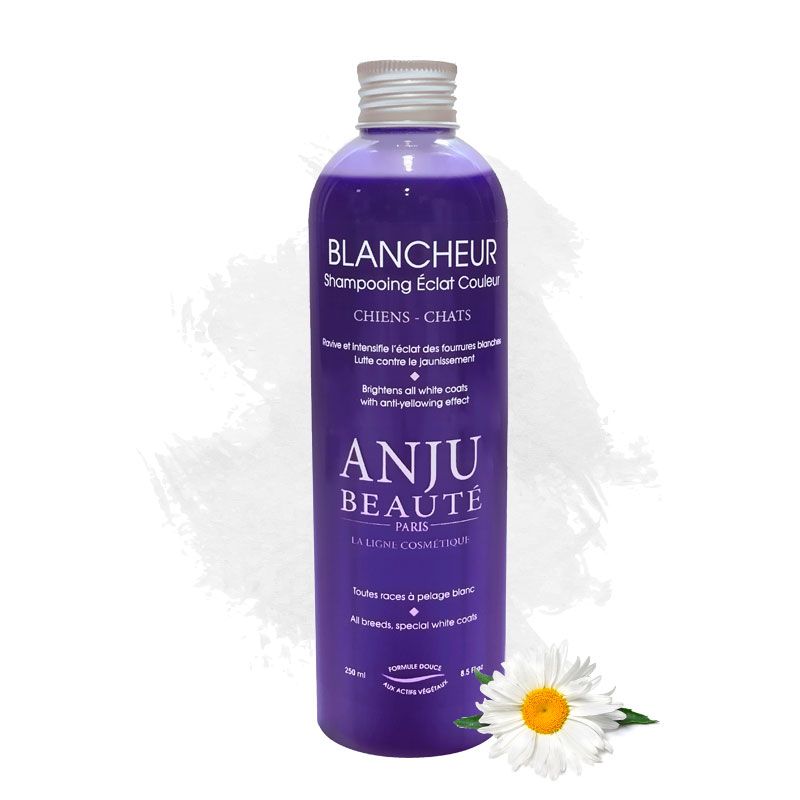 Shampoo Blancheur