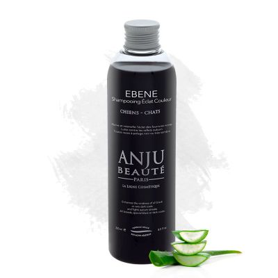 Shampoo Ebène 0