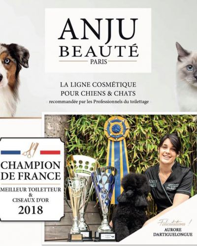 Aurore Dartiguelongue : Ciseaux d’or 2018 et ambassadrice Anju Beauté