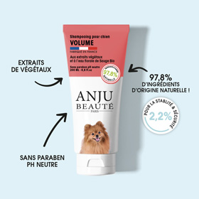 shampooing volume pour chien