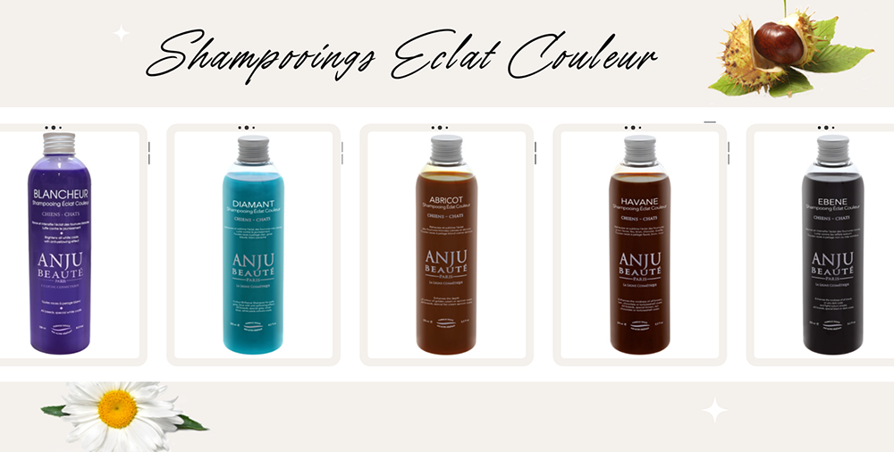 gamme de shampooings eclat couleur