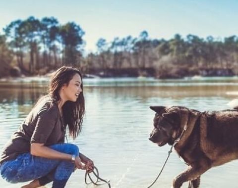 Le métier de Pet Influencer, by May dog momager de Malcolm The Akita